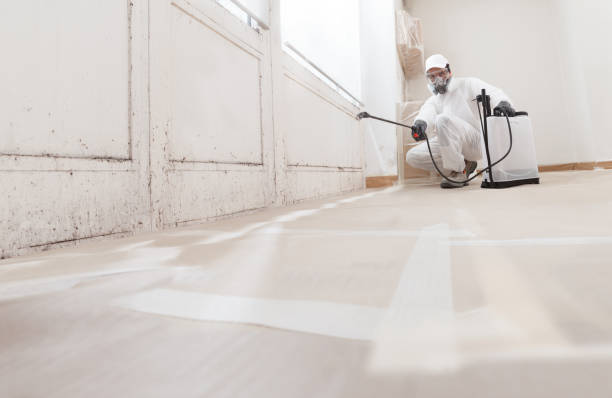 Trusted Attic Mold Removal service in Johnstown, PA - WQB Mold Removal