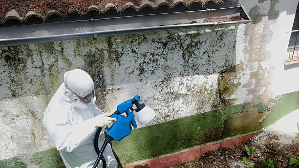 Top rated local Attic Mold Removal specialists in Johnstown, PA